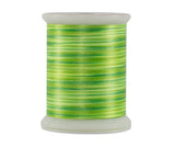 Superior Fantastico Embroidery Thread 500 yd - Colours #5001 - #5099