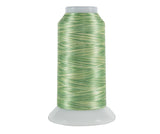Superior Fantastico Embroidery Thread 2000 yd - Colours #5100 - #5170