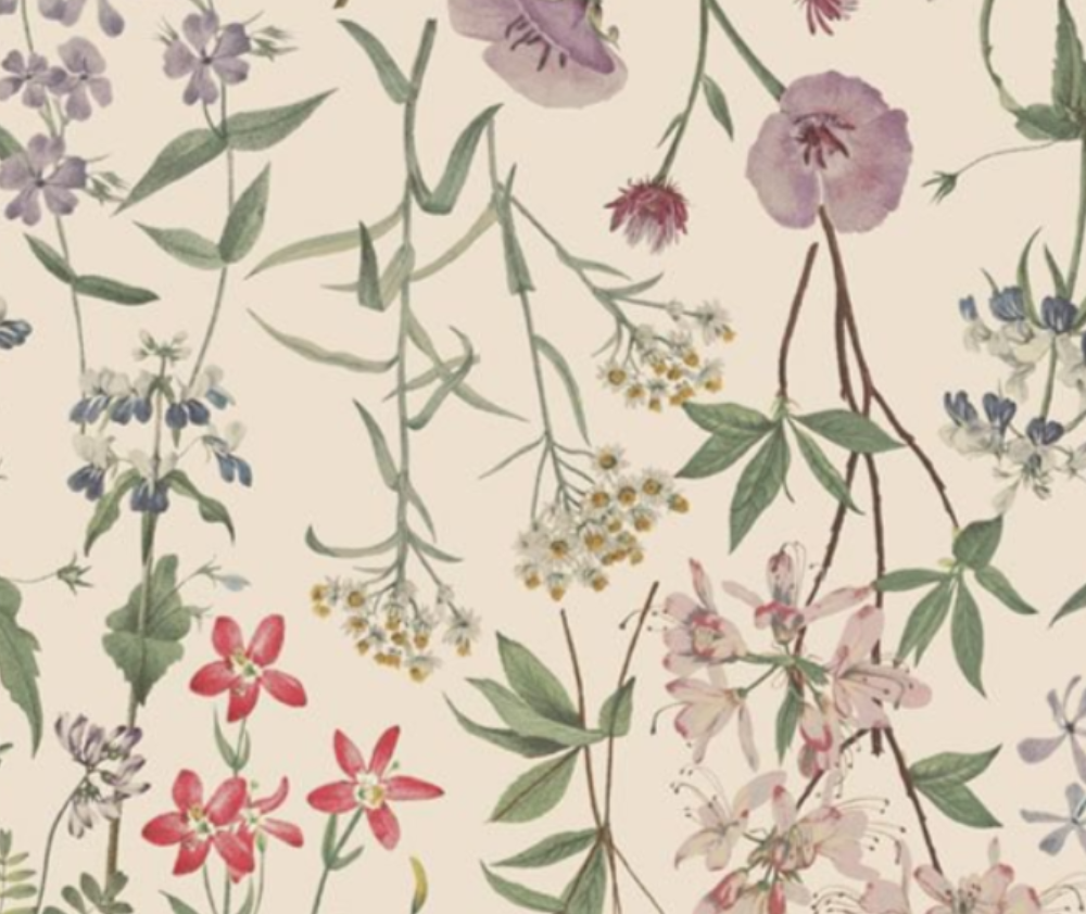 Botanical Journal, Flowing Floral Tan 100% Cotton - 10cm Increments