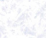 Hoffman Bali Basic