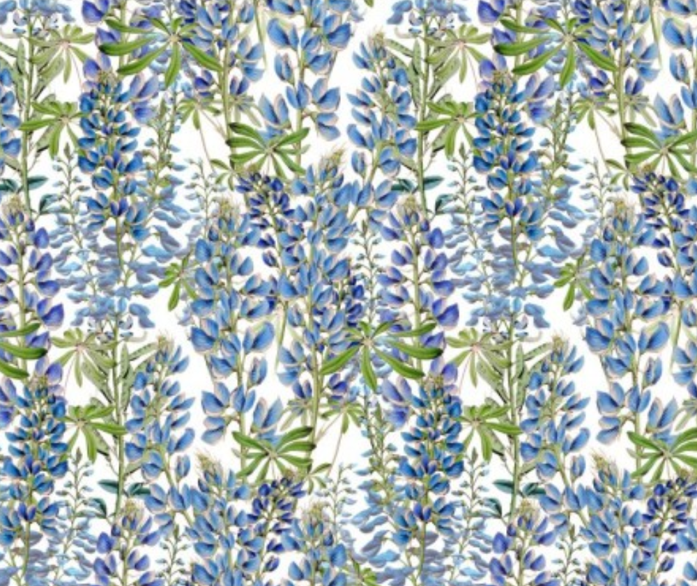 Spring Garden Lupines Blue - 10 cm Increments