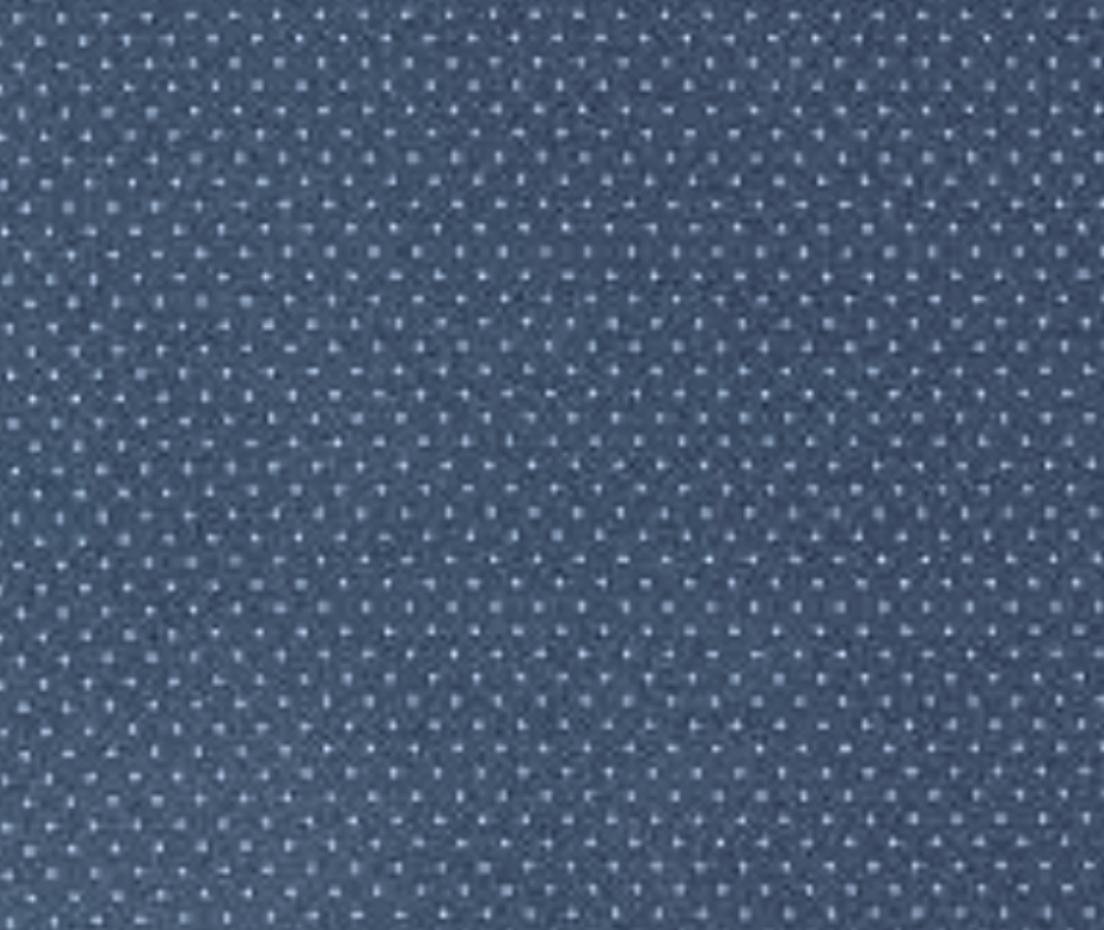 Swiss Dot Indigo - 10cm Increments