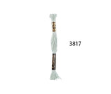 DMC Stranded Cotton - Hand Embroidery Thread - Colours #3800-3899