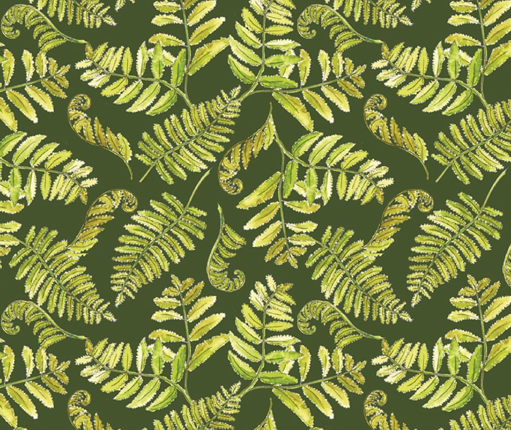 A Country Walk - Ferns Green