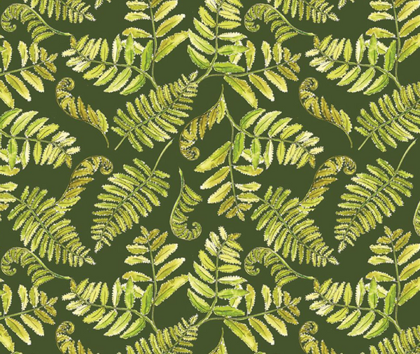 A Country Walk - Ferns Green