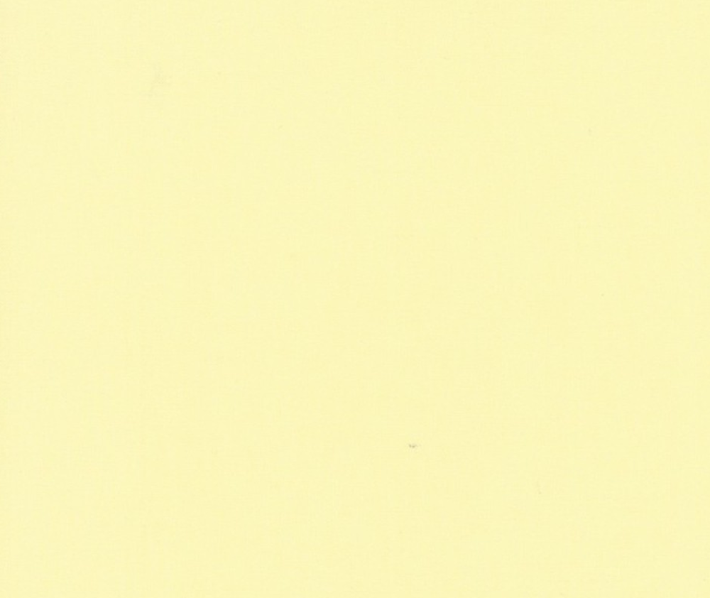 Bella Solids - 0.1m - 100% Cotton Fabric