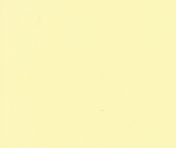 Bella Solids - 0.1m - 100% Cotton Fabric