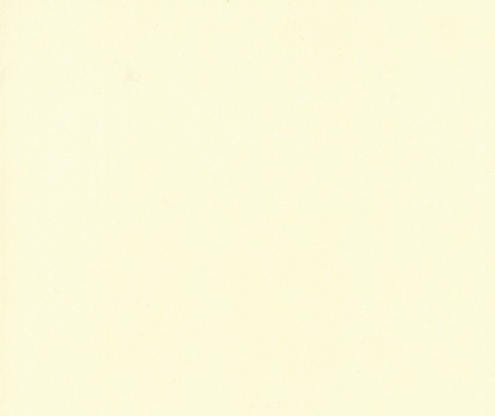 Bella Solids - 0.1m - 100% Cotton Fabric