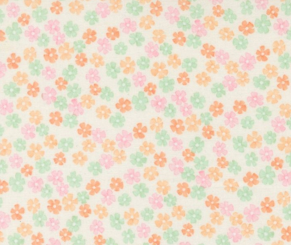 Daisy Chain Dogwood - 0.1m