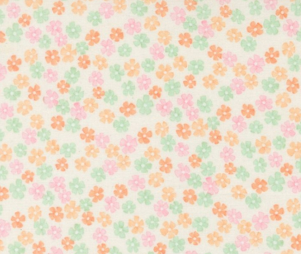 Daisy Chain Dogwood - 0.1m