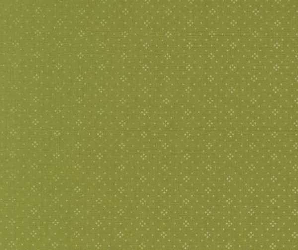 Eyelet Pine