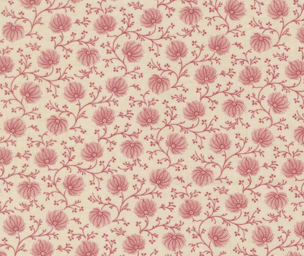 French General Campanule Pearl - 0.1m