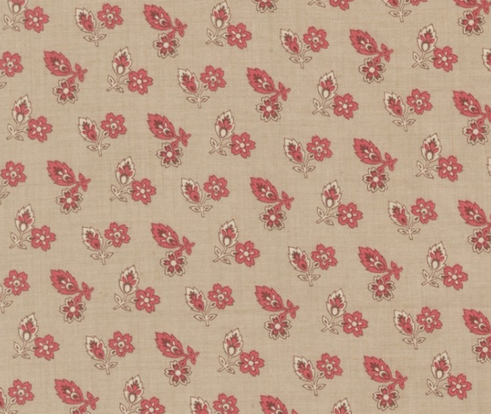 French General Coucou Roche - 0.1m