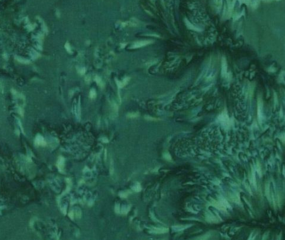 Hoffman Bali Basic - Christmas Green - 0.1m