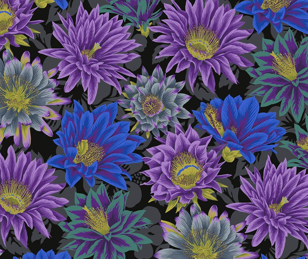 Kaffe Fassett Cactus Flower BLACK - 0.1m