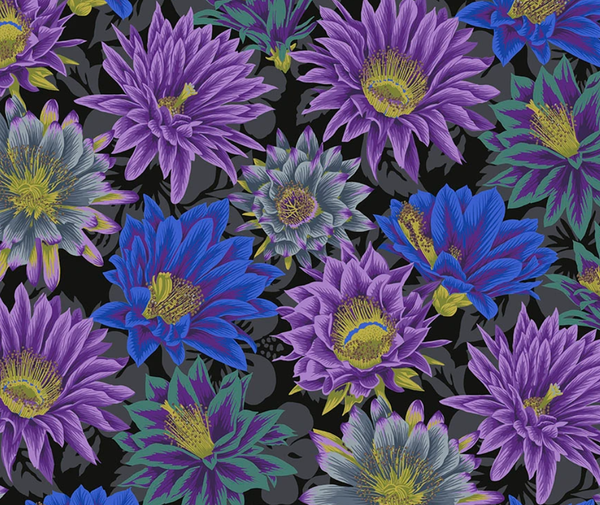 Kaffe Fassett Cactus Flower BLACK - 0.1m