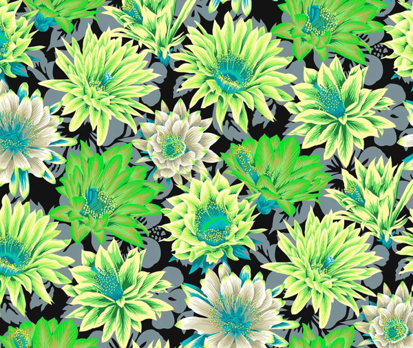 Kaffe Fassett Cactus Flower Contrast - 0.1m