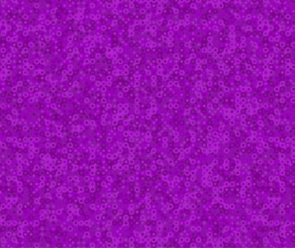 Mollys Magic - Fairy Rings Aster Purple