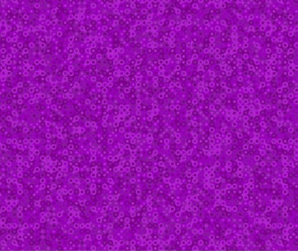 Mollys Magic - Fairy Rings Aster Purple