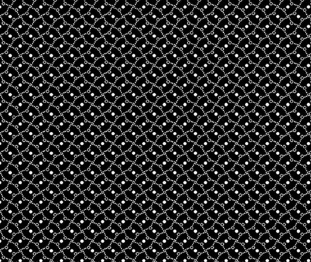 Salt and Pepper White Dotty Lines on Black
