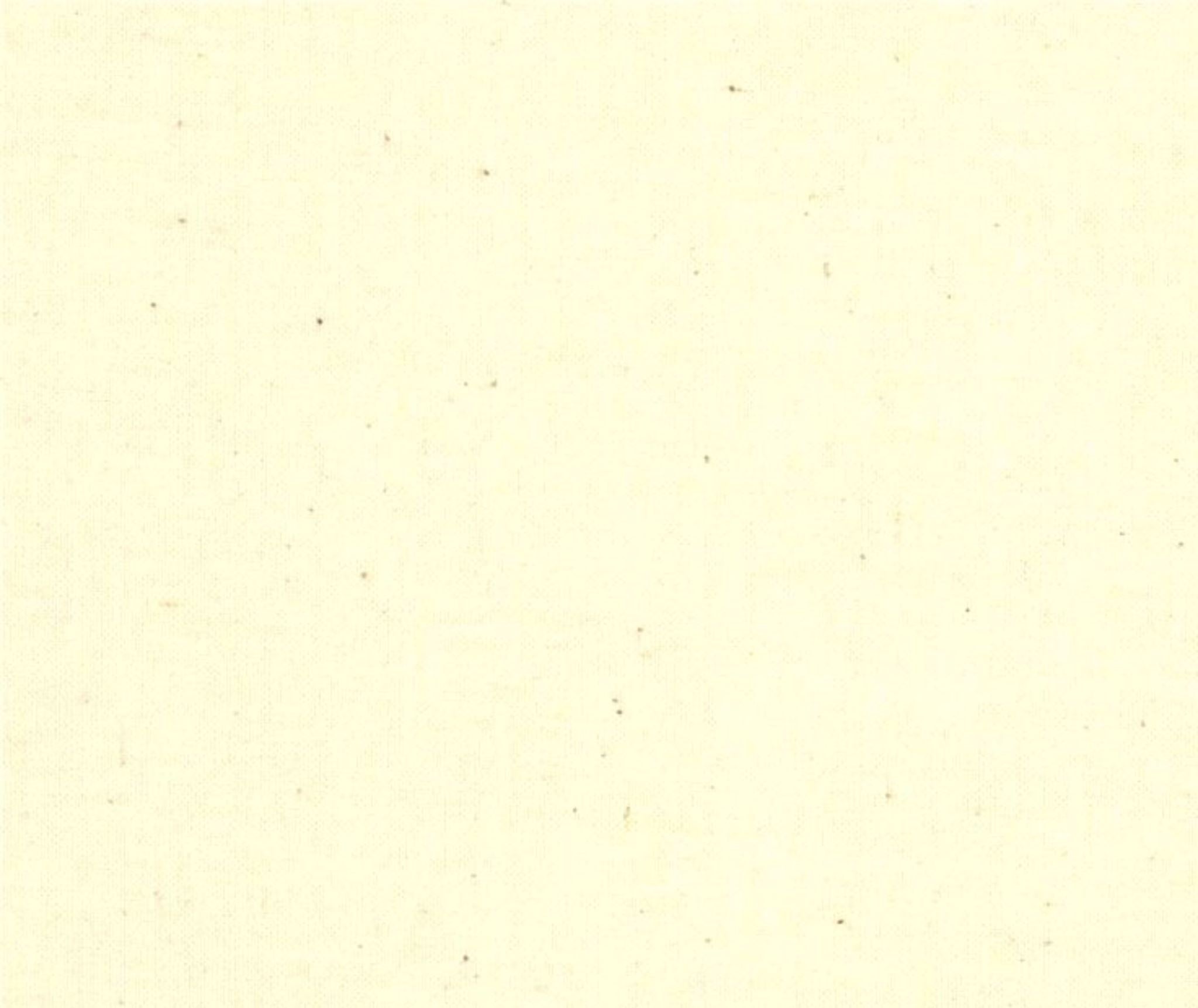 Quilters Muslin - Natural Seeded 100% Cotton - 10cm Increments