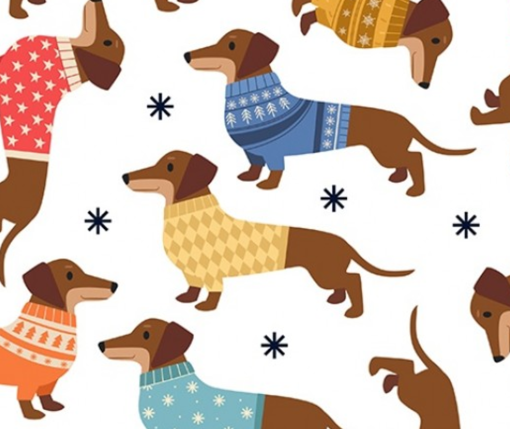 Novelties Sausage Dog in Sweaters - 0.1m