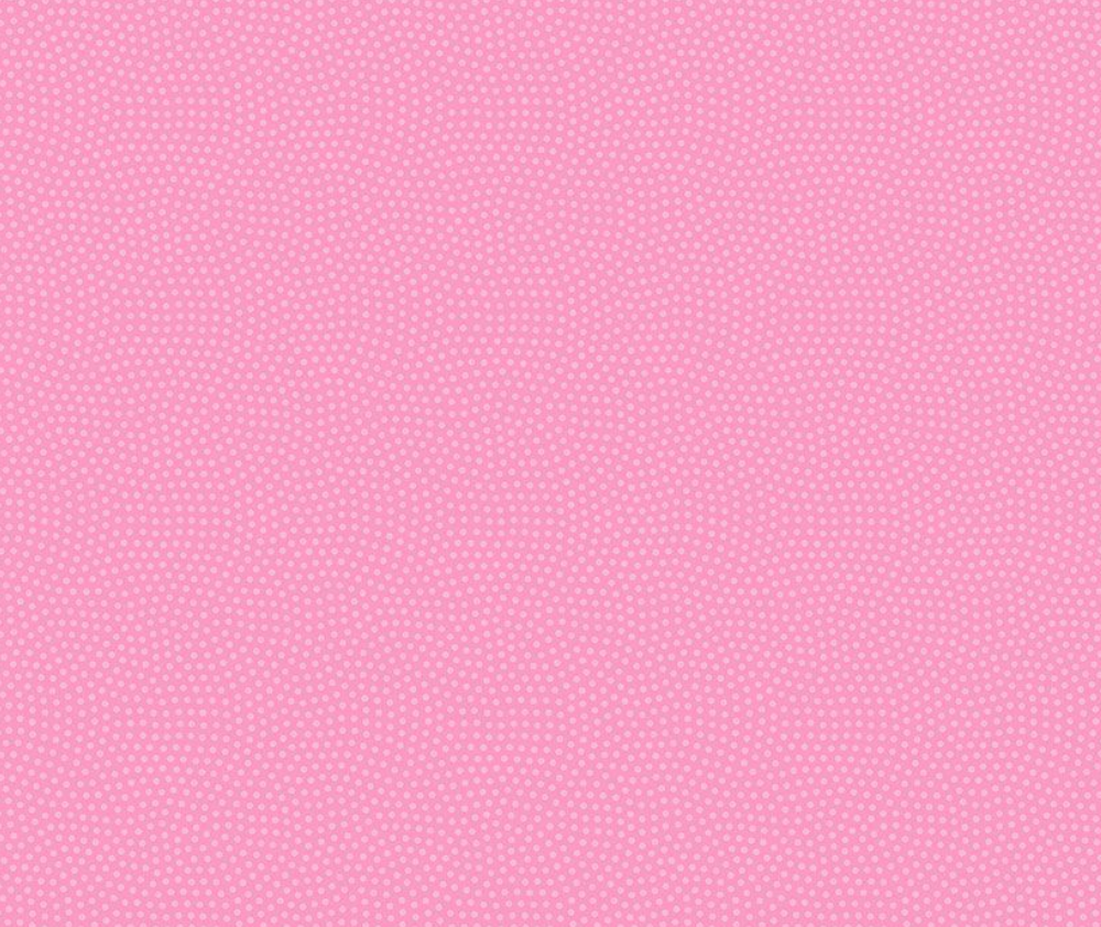 Spin Basic Raspberry - 0.1m