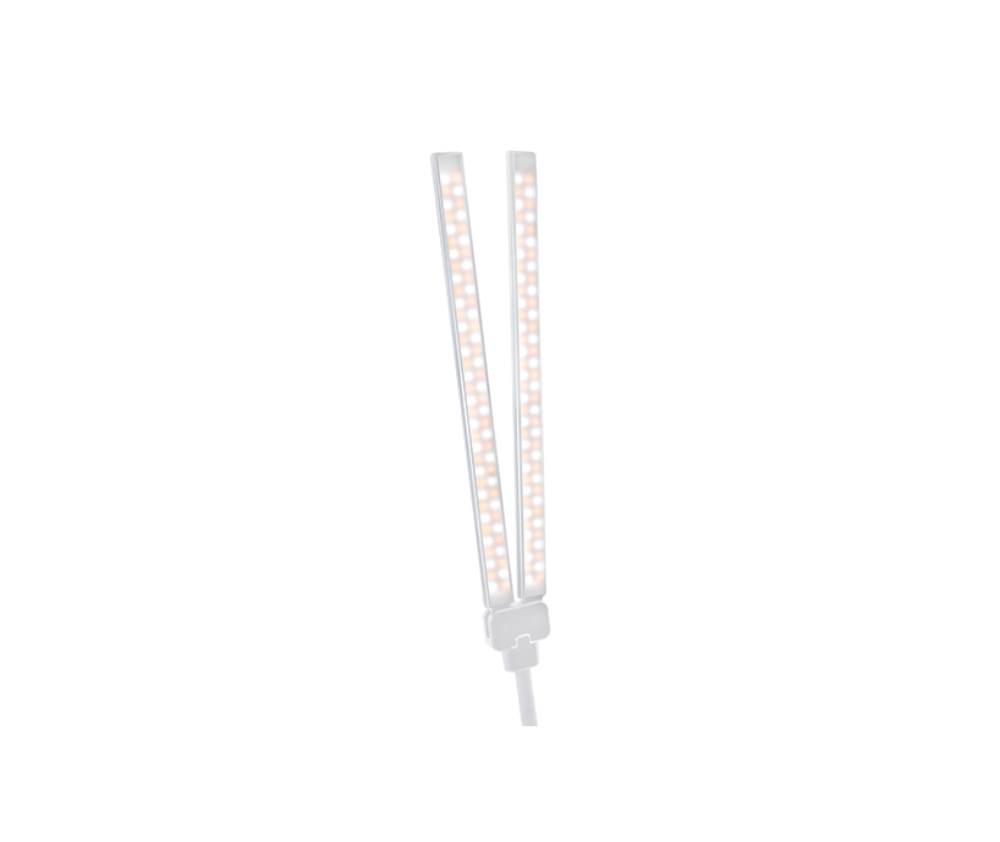 Triumph Led Floor Duet Lamp
