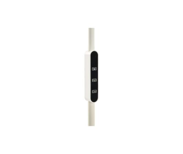 Triumph Led Floor Lamp with Remote Control