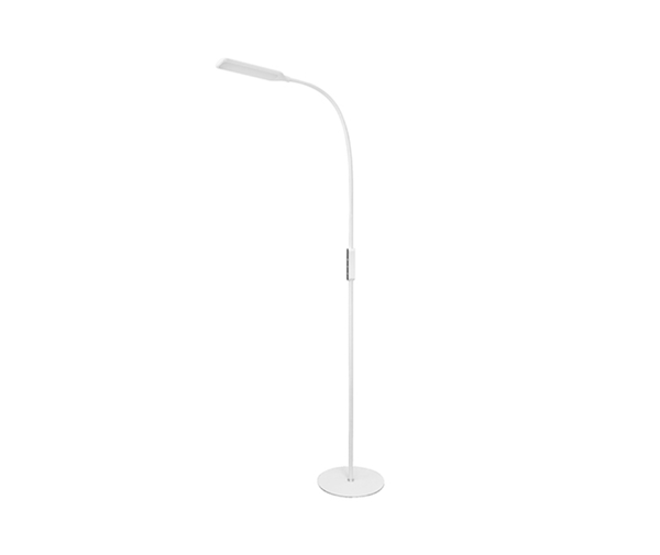 Triumph Led Floor Lamp with Remote Control