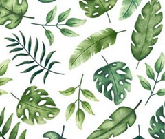 Wee Safari Leaf Toss White 100% Cotton - 10cm Increments