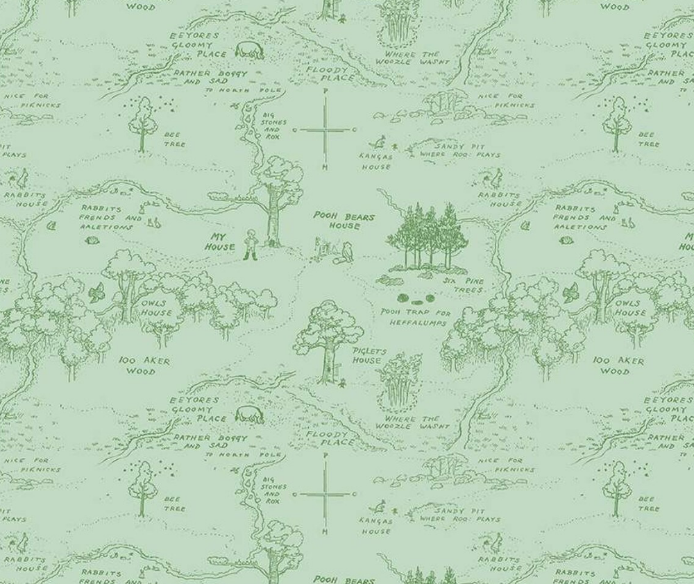 Winnie the Pooh Green Map - 0.1m