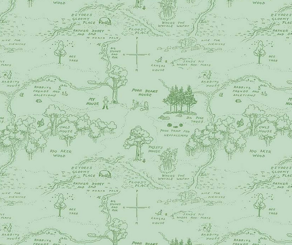 Winnie the Pooh Green Map - 0.1m