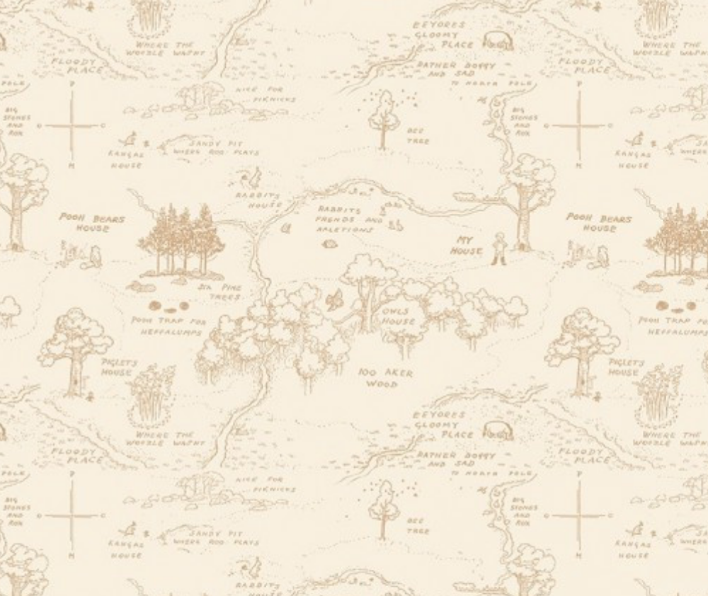 Winnie the Pooh Tan Map - 0.1m