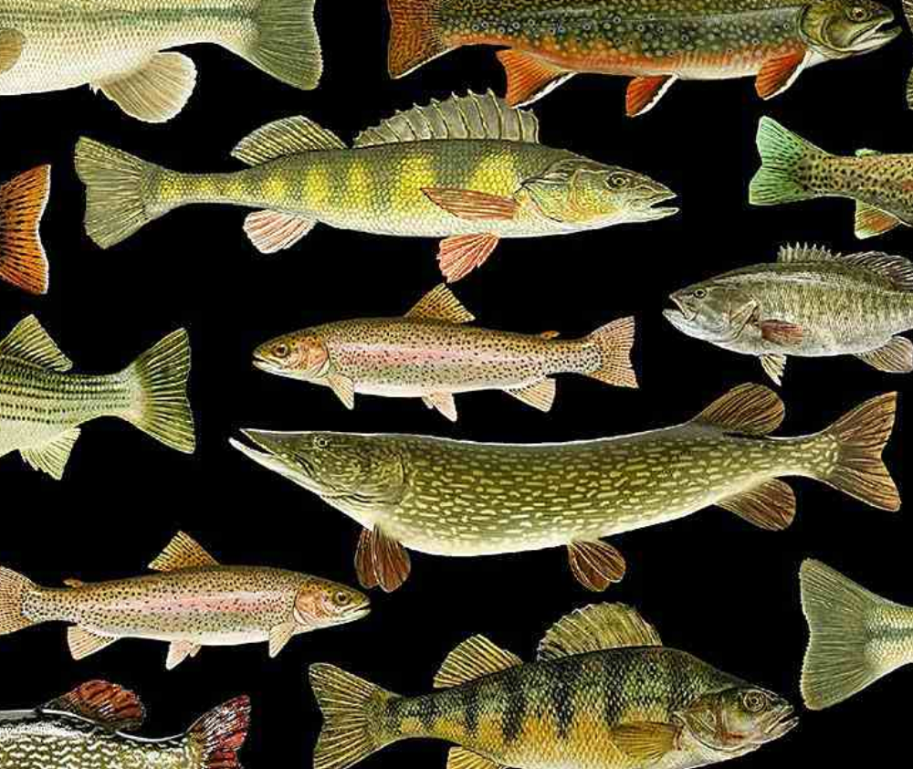 Woodland Retreat Fish Black - 0.1m