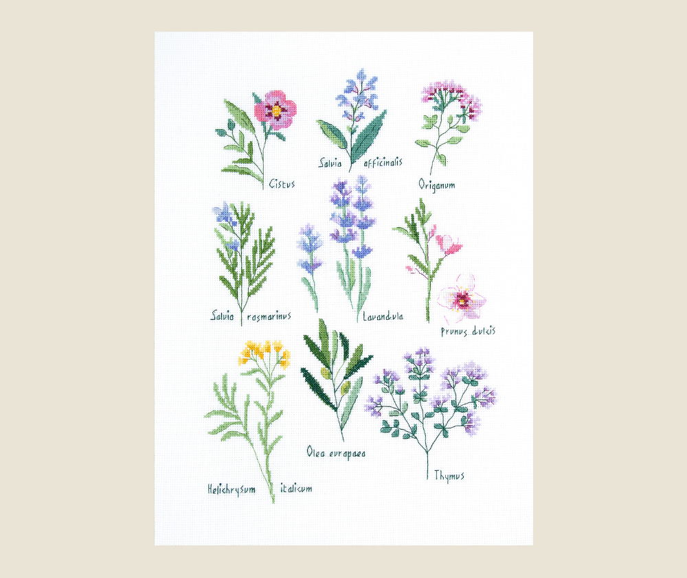 DMC Embroidery Kit - Herbs
