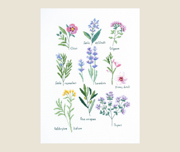 DMC Embroidery Kit - Herbs