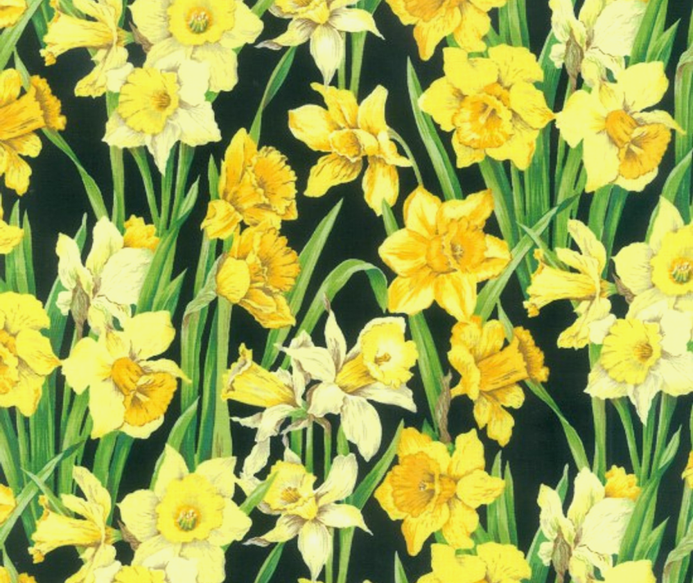 Daffodils 100 Cotton Fabric 10cm Increments Sew It