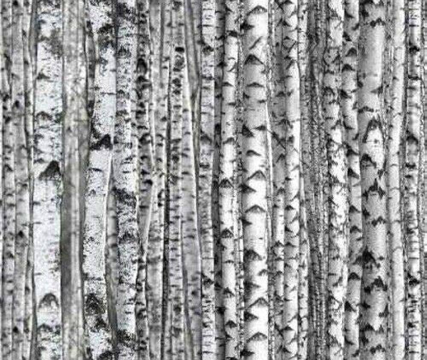 Landscape Medley 100% Cotton Fabric - 10cm Increments