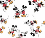 Mickey-and-Minnie-102_SN1SPY2LI1FO.jpg