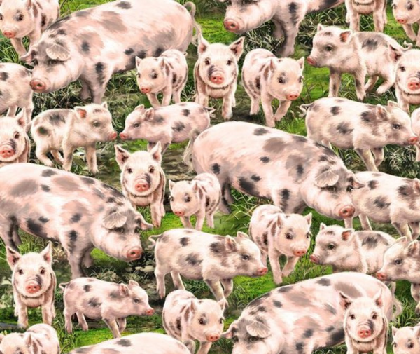 Farmyard 100% Cotton Fabric - 1/2 Metre
